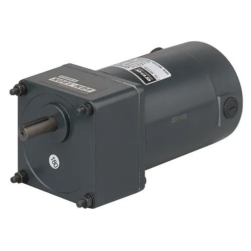 DC Brush Gear Motor Micro Electric Induction AC Gear Motor