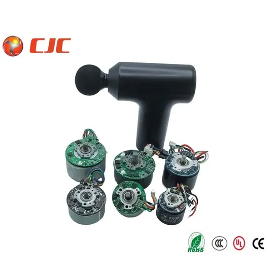 DC Customized 12V 24V 48V Micro BLDC Mini AC Brushless Electrical Drone Electric Brushed PMDC Fan Massager Brush Motor Low Noise Electrical for Air Purifier