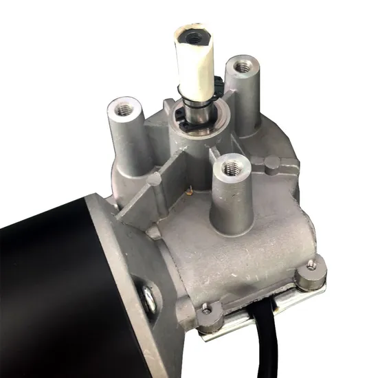 24V 30rpm DC Low Rpm Worm Gear Motor 30nm 50nm Torque Electric Adjustable Bed Motors