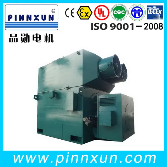 Three Phase Asynchronous Squirrel Cage Induction Motor Slip Ring 6MW Electric Motor Sugar Mill