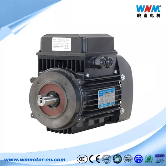 Variable Frequency Induction Motor Smart All-in-One Integrated with VFD Controller AC Motor Electric Motors