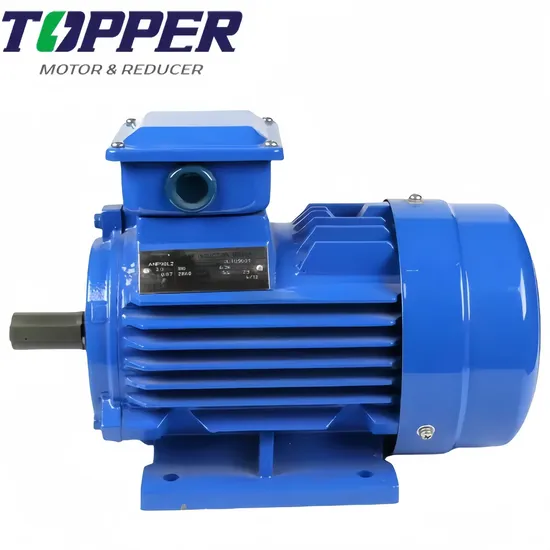 Ie2 Series High Efficient Three Phase Asynchronous 90kw Induction Motor