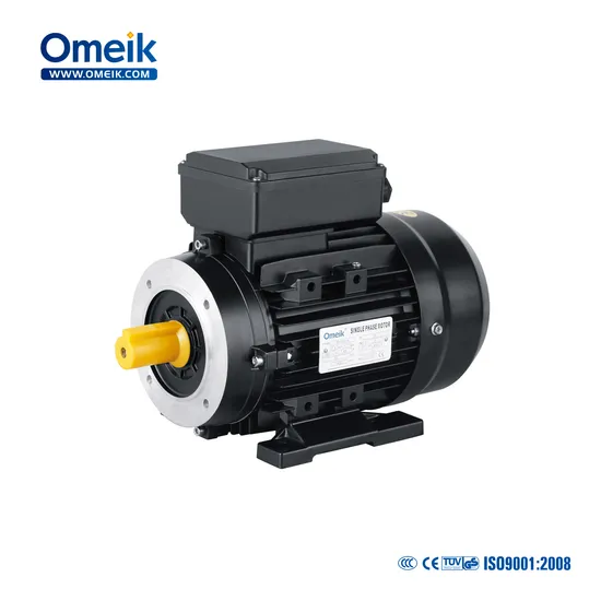 Hot Selling 220V Single Phase High Torque High Quality Low Noise Cheap Price AC Electric Motor (1/4HP-5HP)
