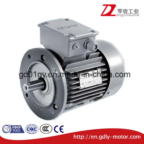 Siemens High-Efficiency 3-Phase Low-Voltage Induction Cast Iron AC Motors