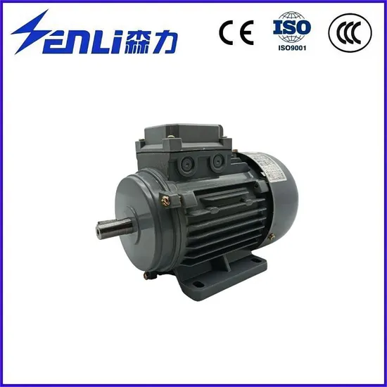 Multi-Scenario 0.025-3kw VFD Motor for Industrial Fan, Sewing, Coffee Grinder, Conveyor Belt