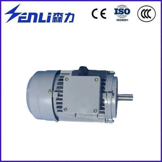 110V 220V 380V 3 Phase Asynchronous Motor for Pump/Compressor/Electrical Fans