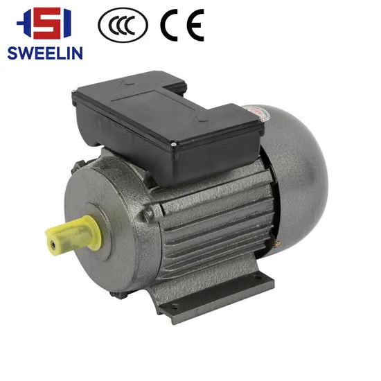 CE Single-Phase Electric Motor Custom Body 220V