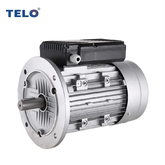 Telo Motor Factory Eff1 110V Ml/My High Efficiency Single Phase Asynchronous Motors