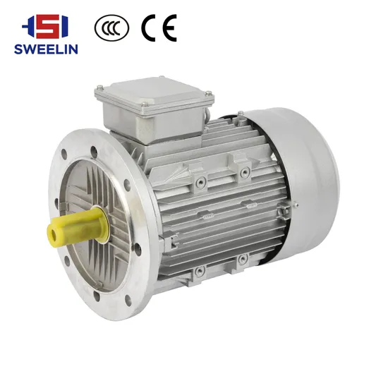 CE-Certified Three-Phase Asynchronous Noodle Grinding Machine Sealing Machine Electric Motor