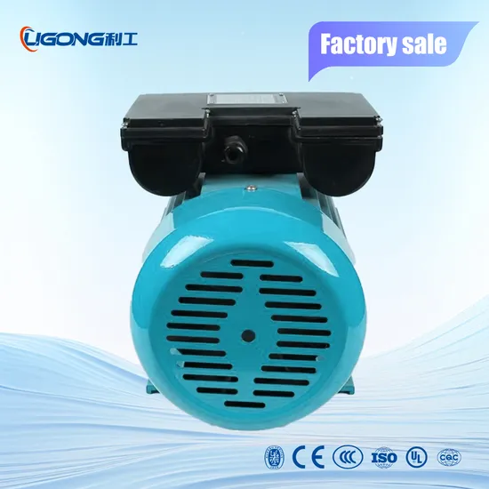 Electric Motor with Aluminum Housing 220V Single Phase 1.5HP-5kw Industrial Use Made in Vietnam 1.1kw 2.2 Kw 3 Kw 3.5kw 4kw