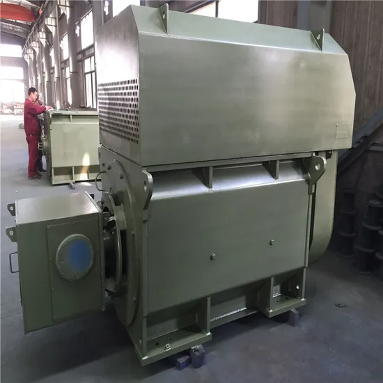Large Vertical Three Phase Induction Motor with Large Thrust