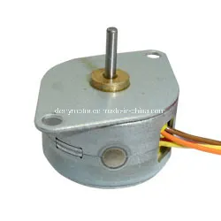 25mm (BY) Samll High Torque Pm Stepping Motor