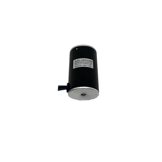 NEMA 36 Brushless DC Motor for Laboratory Apparatuses