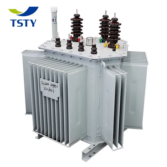 High Voltage Copper Coil Oil Immersed Distribution Power/Electric Transformer Electrical