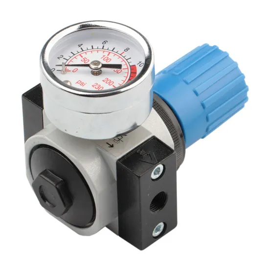 Xhnotion Pneumatic D Series Air Regulator