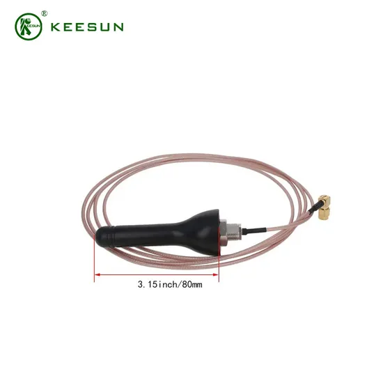 115mm Outdoor Screw Mount Waterproof 433 MHz Antenna with 2m Antenna