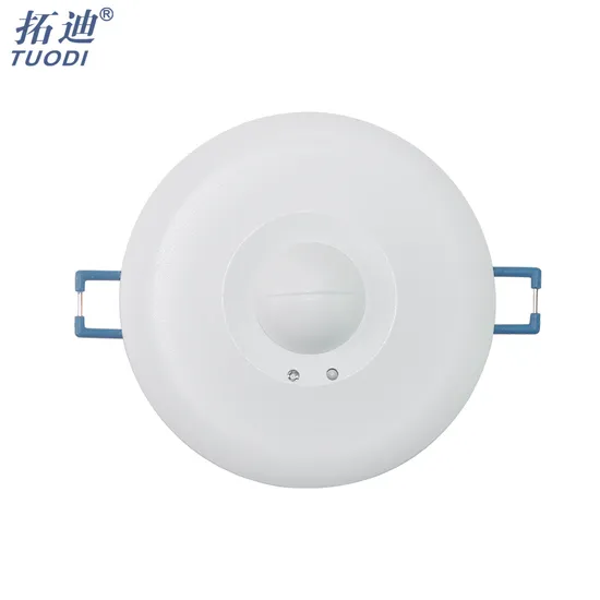 Tuodi 5.8GHz High Sensitivity Wall Switch 110V 220V 240V Microwave Radar Light Motion Sensor Switch