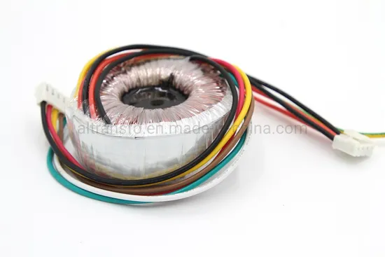 Customized 230V 24V Toroidal Transformer for Amplifier