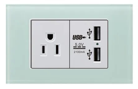 2 Gang Socket and 3.1A High Power USB Socket