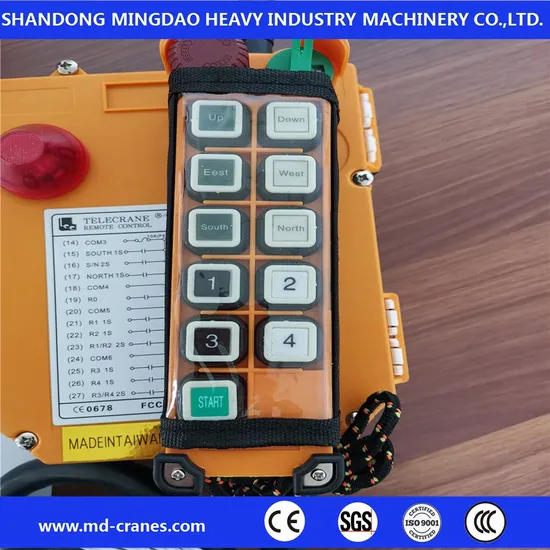 Wireless Industrial F24-10d Remote Controller