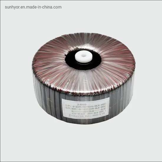 Single Phase Various Mv &Hv LV Power Supply Toroidal Transformer Custom Voltage Transformer for Stereo Audio Amplifier