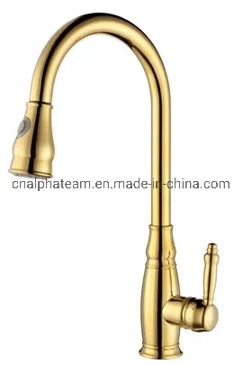 Pull out Brass Body Kitchen Faucet with Gold Color