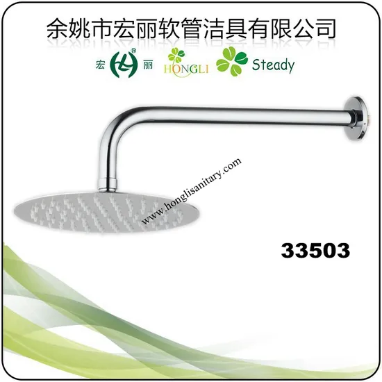 33503 Stainless Steel Shower Head with Stainless Steel Arm