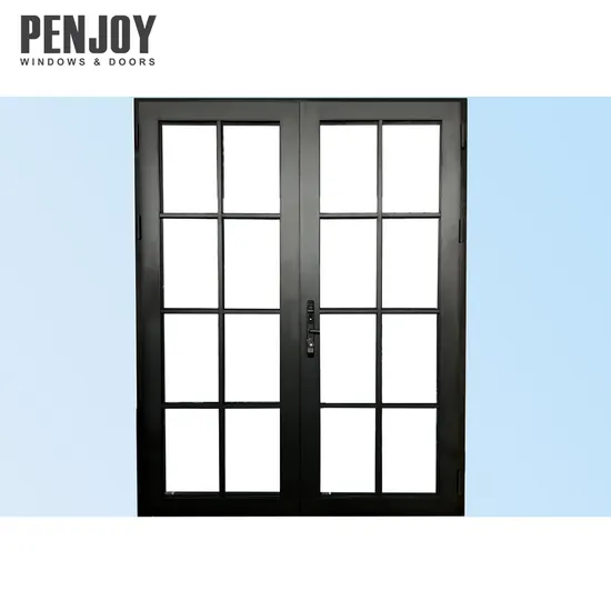 Penjoy Modern Designed Entrance Door French Style Smart Lock Steel Looks