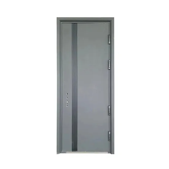 Reasonable Price Custom Size Design Safe Doors Iron Pivot Door