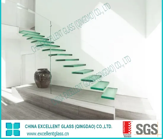Excellent/Safety/Tempered/Outdoor Swimming Pool Railing/Stairs Railing/ Fencing/Railing Glass