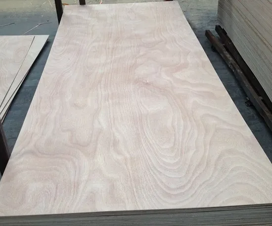 Bb/Bb Grade Eucalyptus or Poplar Core Bintangor Plywood/Okoume Plywood