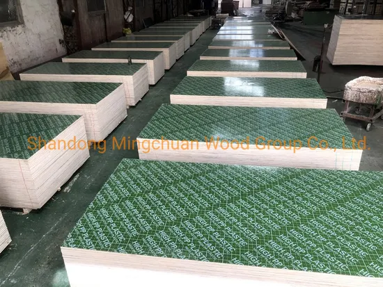 Green PP Plastic Film Faced Plywood Building Material Hardwood Plywood