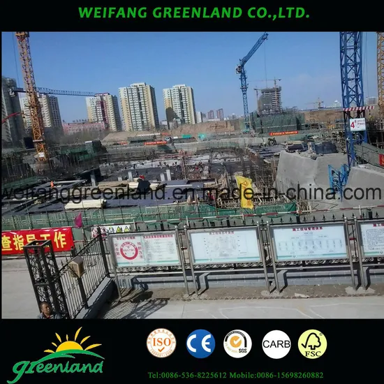 9-25mm Construction Shuttering Plywood with Poplar Core, Hardwood Core, WBP Glue, Black Film or Brown Film