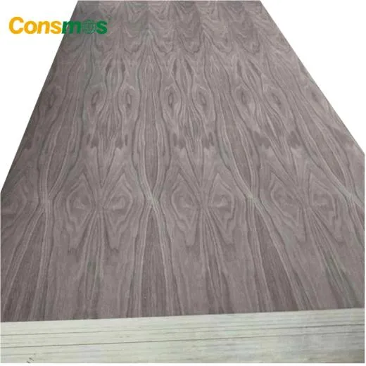 Linyi 1220*2440mm*12/15/18mm Wood Fancy Plywood for Furniture