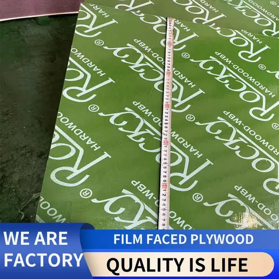 16mm Green PP Plastic Film Faced Plywood for Construction in China