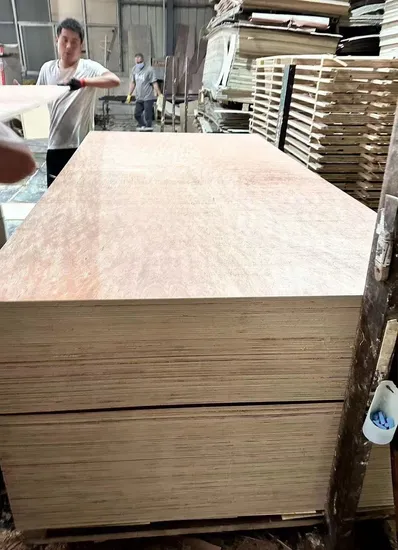Hot Selling Natural Birch Okoume Bintangor Veneered Commercial Furniture Plywood