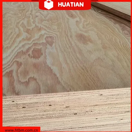Birch Plywood and Pine Plywood