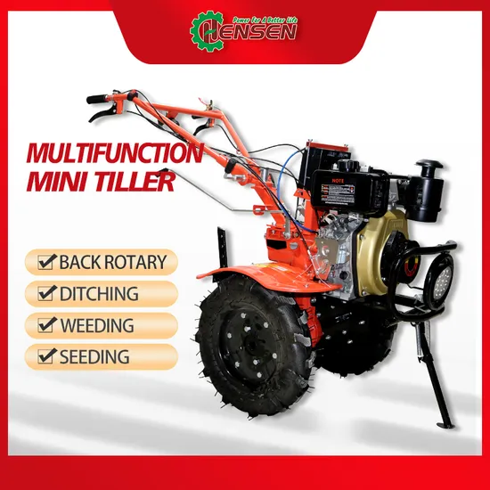 5HP Diesel Micro Tiller with 32 PCS Dry Land Blades