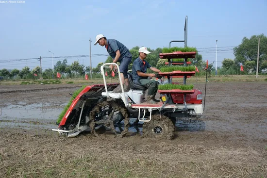 Riding Type Rice Transplanter 2zgf-6A
