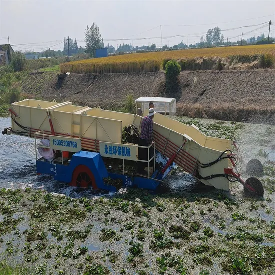 One Person Operating a Water Grass Harvester Independently Is Better Than 30 Manual Workers