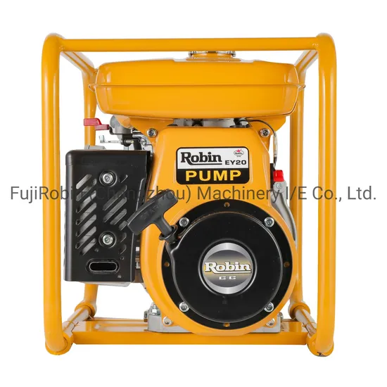 3inch Big Water Pump High Pressure Water Pump Ptg307 with Model Ey20