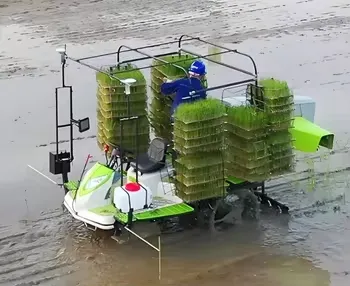 Walking Rice Planting Machine Automatic Operated 2zgq-825 Agricultural Rice Transplanter Rows Optional
