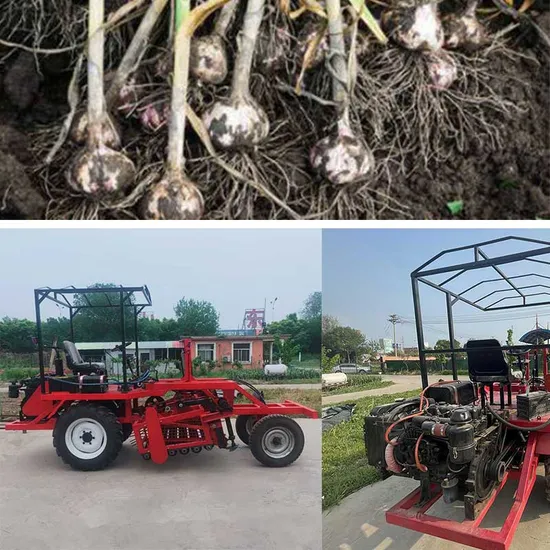 Working Depth 80-200mm Popular Fully Automatic Self-Propelled Garlic Harvesting Machine
