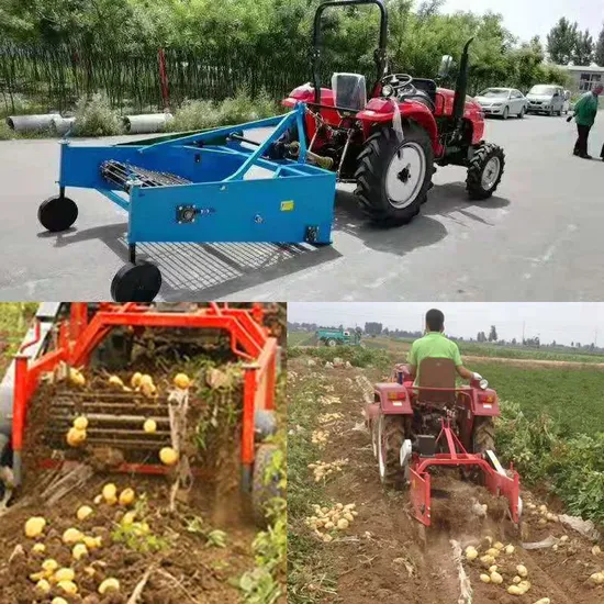 Bf Top Quality Potato Digging Machine Potato Harvesting Machine Sweet Potato Garlic Peanut Ginger Harvester with Lowest Price