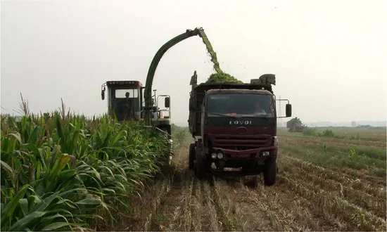Yncheapest Price Qsz 2200 Combine Harvester