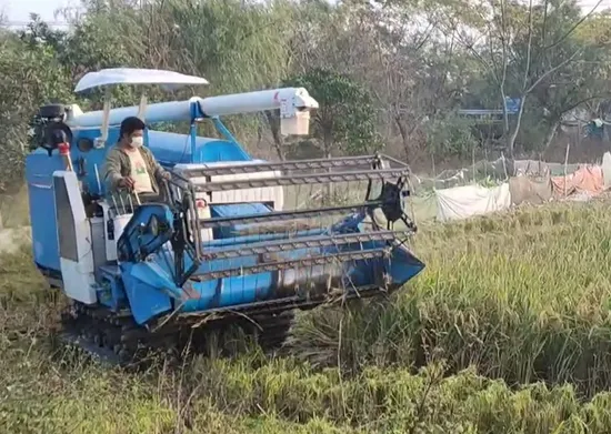 2.0m Hand Held Mini Wheat and Rice Harvesting Machine 105X Small Philippines Paddy Corn Lk6.0-B1 Corn Rice Combine Harvester