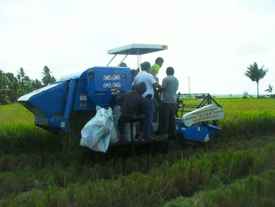 Lingke 4lz-2.5 Mini Combine Harvester Rice Wheat Combine Harvester Price