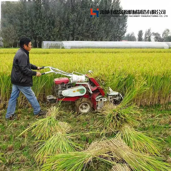 Mini Reaper Binder Machine for Walk Behind Mini Reaper with Harvesting Width of 1.5m and Harvest Crops of Rice Corn Fruit Wheat Soybean Tubers Straw
