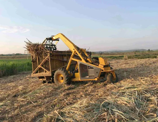 Three Wheel Sugarcane Loader with Rotating Grab Hot Sale From Hongyuan