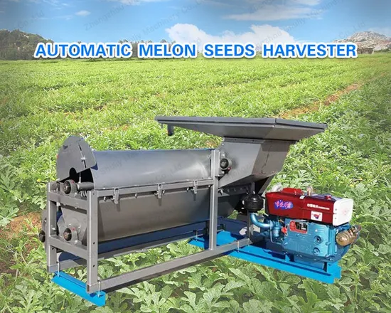 Melon Seed Harvesting Pumpkin Seed Separating Machine Price for Farmer